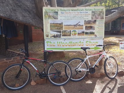 Mukuvisi-Woodlands-bike-hire-available