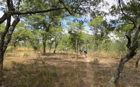 Mukuvisi Woodlands trails