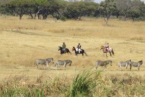 Mukuvisi-horse-safaris