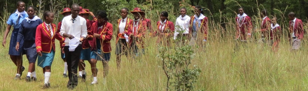 Eco Schools Prog