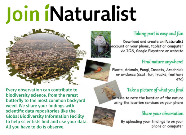 inaturalist-mukuvisi-woodlands